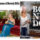New York Times Magazine screenshot; NYMag screenshot